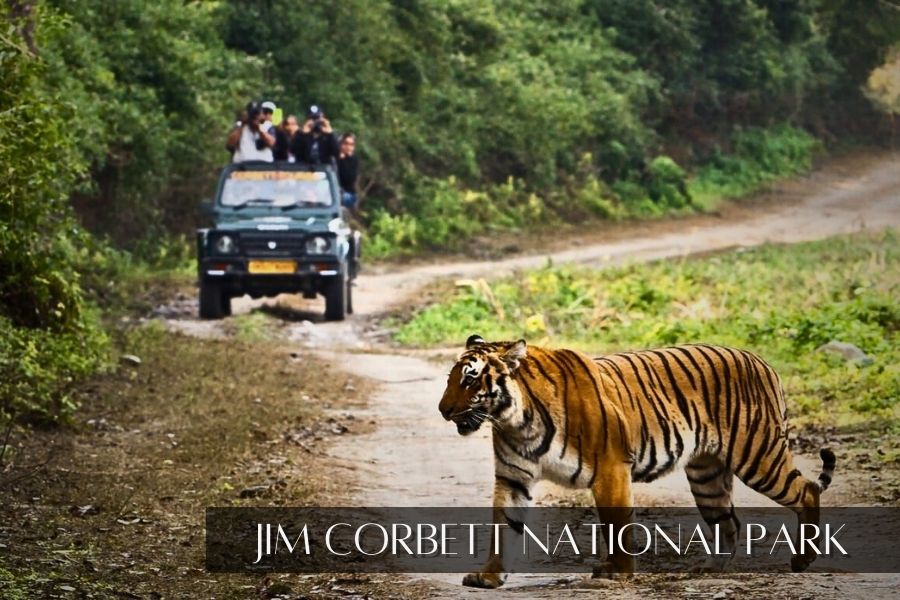 Jim Corbett National Park - place to visit